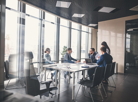 Professionals in a business meeting
